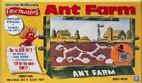 Ant Farm