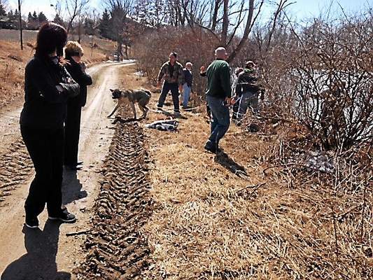 Mike Bruner Saves Dog