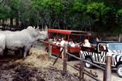 Bayou Wildlife Zoo