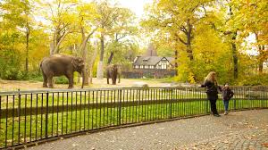 Elephant at Berlin Zoo