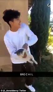 Boy Throws Cat