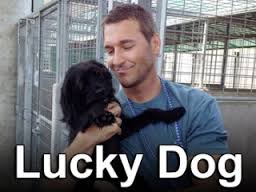 Brandon McMillan Lucky Dog