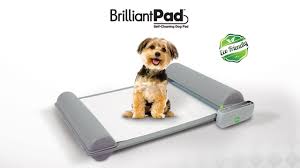 BrilliantPad