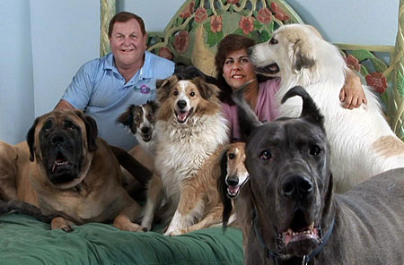 Actor Burt Ward shares his bed with 25 Great Danes - he tells his story on Animal Radio