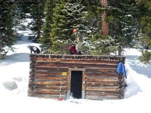 Cabin that cows wandered into.648