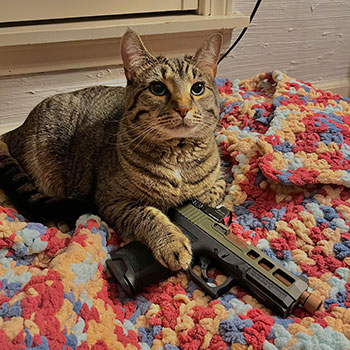 Gun Safety for Cats