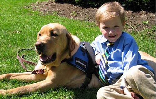 Should children have service animals