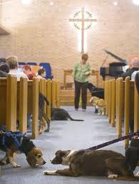 Dogs in church.653