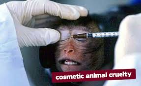 Cosmetic Testing on Monkey