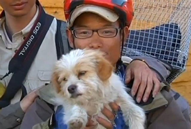 Cyclist and Stray Dog