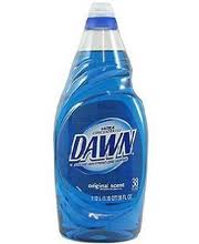 Bottle of Dawn Dish Soap