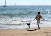 Woman walking dog on beach