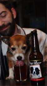 Dog drinking dog-friendly beer in bar