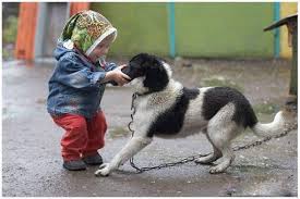 Child holding dog's muzzle