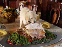 Dog On Table Eating Turkey