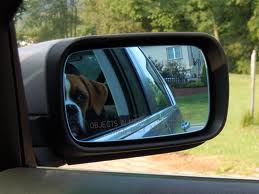 Dog in car mirror