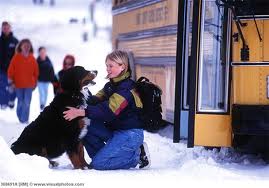 Dog at school bus stop