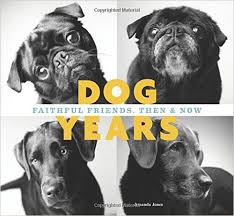 Dog Years Book Cover