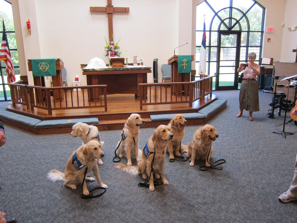 Dogs in Church