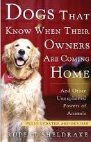 Dogs That Know When Their Owners Are Coming Home book cover