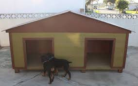 Double Doghouse