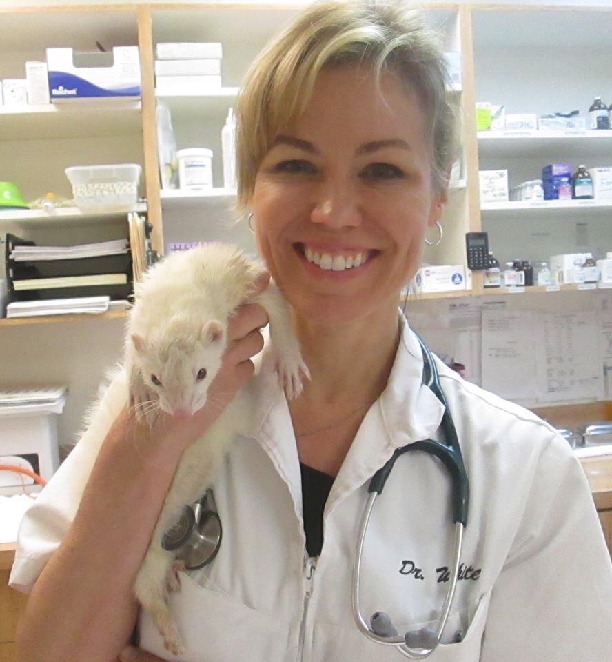 Dr. Debbie with Ferret