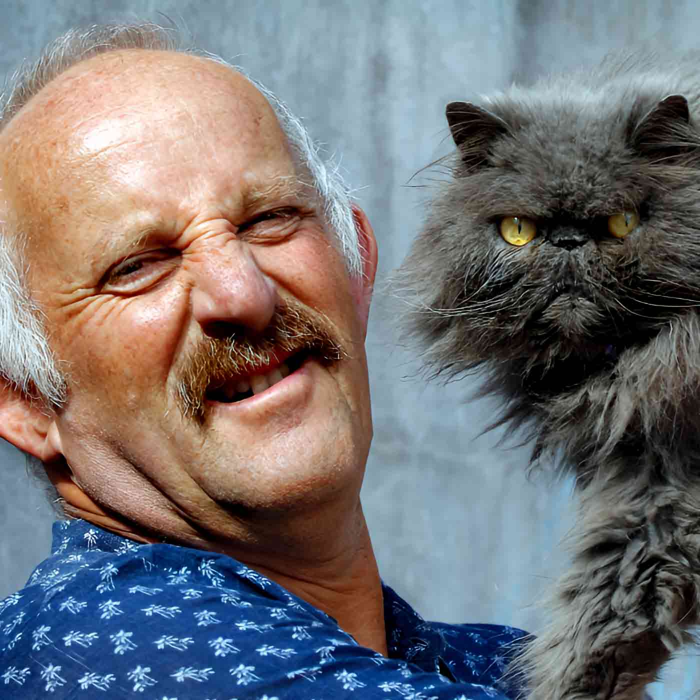 He Wants To Get Rid Of All The Cats - Top Pet Toxins He Wants To Get Rid Of All The Cats - Top Pet Toxins
