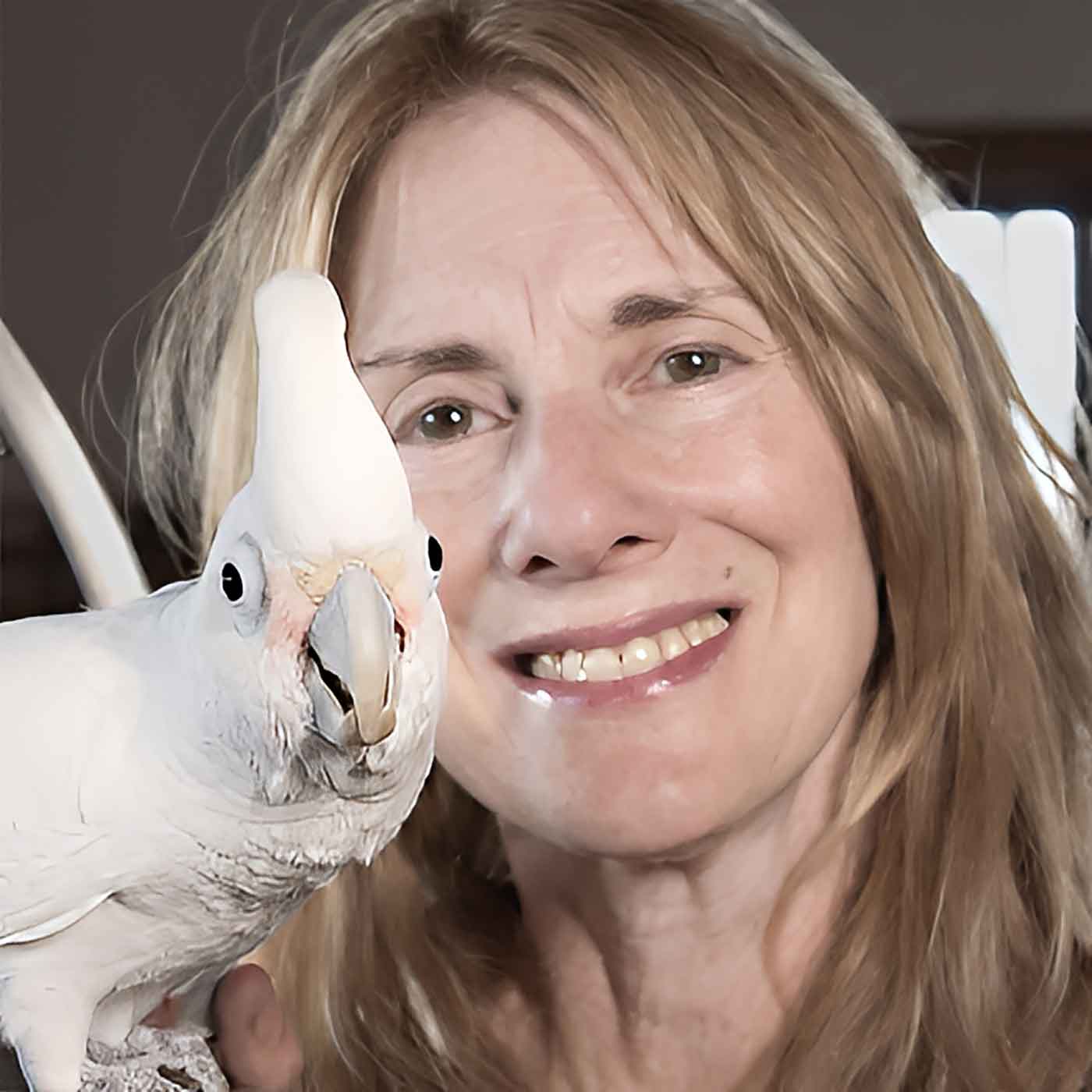 Are You Too Attached To Your Pets? - Parrots Helping Veterans with P.T.S.D. Are You Too Attached To Your Pets? - Parrots Helping Veterans with P.T.S.D.