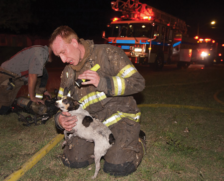 EMTs should legally be allowed to help animals without being penalized