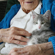 Elderly Woman with Cat