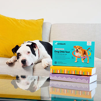 Animal Radio is giving away a free Embark Doggy DNA Test