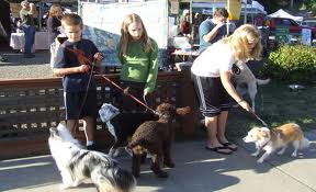 Dogs at a farmers market