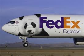 FedEx Panda Express airplane