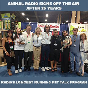 Kitten gets a butt hole