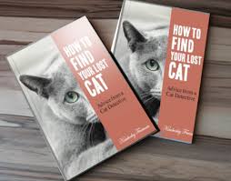 Find Lost Cat Booklet