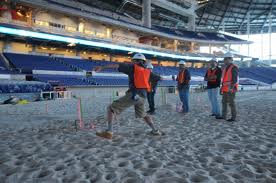 Marlin basbeall stadium backstop fish aquarium.651