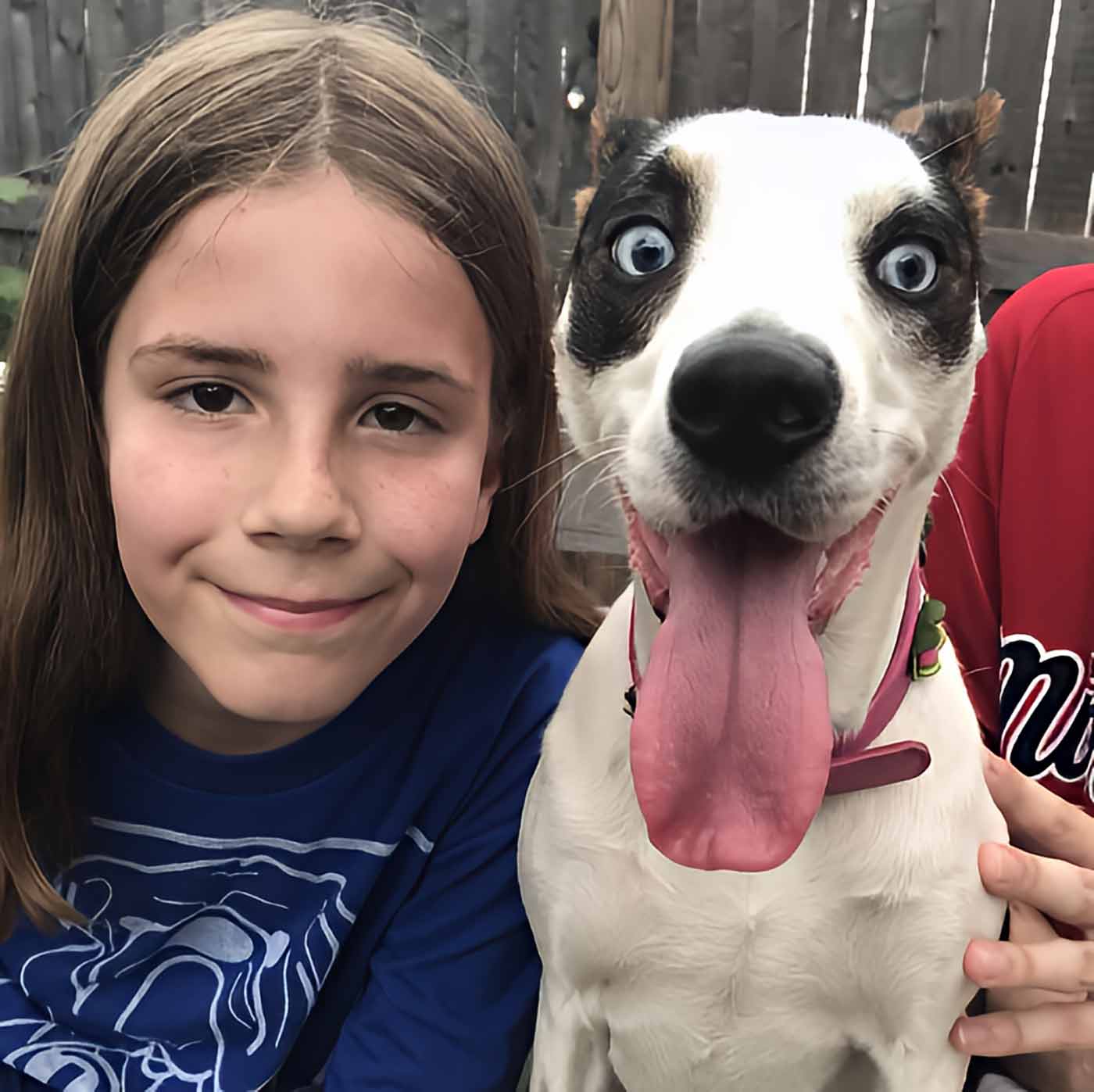 "Please Don't Repo Fido." Lawmakers Ban Pet Leasing - A Boy's Mission To Pet A Million Dogs "Please Don't Repo Fido." Lawmakers Ban Pet Leasing - A Boy's Mission To Pet A Million Dogs