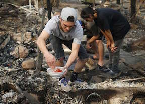 Goldfish Survive CA Fires