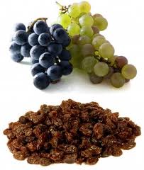 Grapes and Raisins