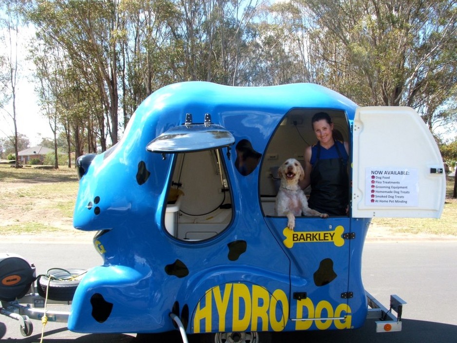 Aussie Family Travels Across America Washing Dogs
