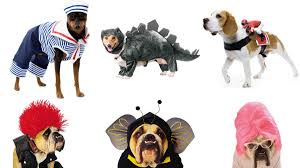 Pet Halloween Costumes