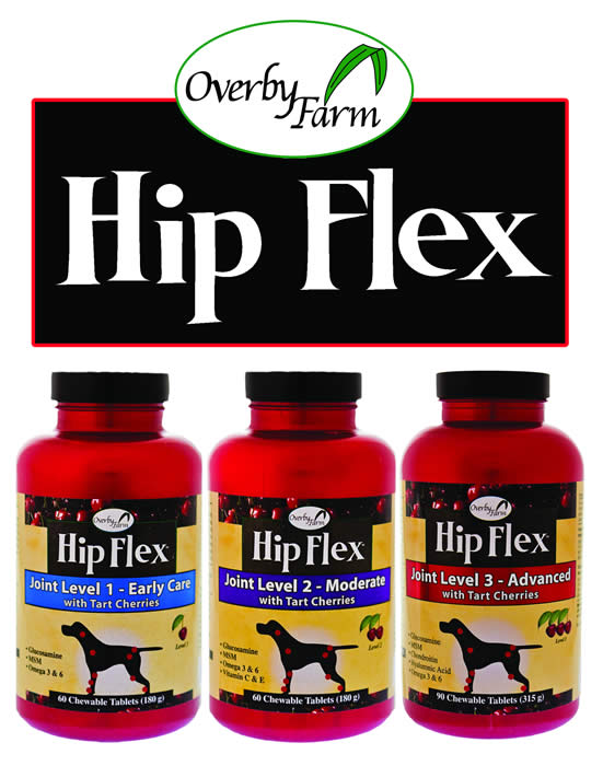 Hip Flex