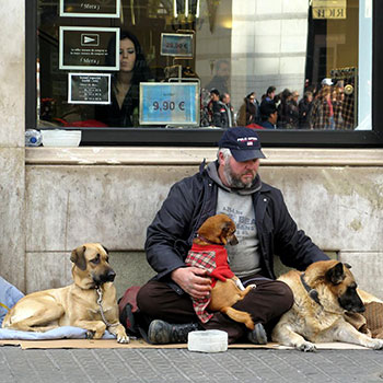 Homeless and Pets