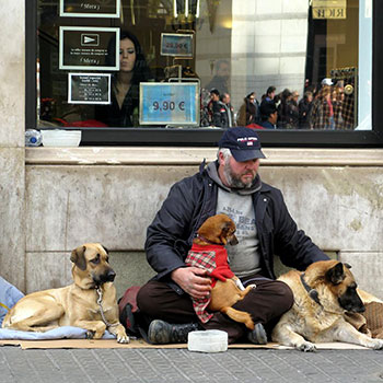 Homeless Person With Pet