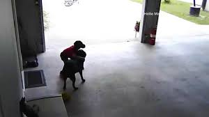 Child Sneaking a Dog Hug