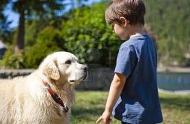 Dog and boy staring at each other