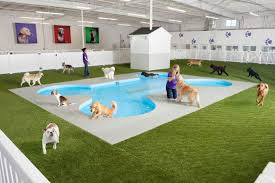 New Animal Terminal at JFK