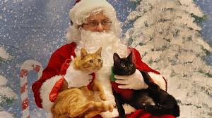 Jerry Carino as Pet Photo Santa