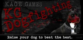 KG Dogfighting game