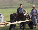 Phil Keoghan and a Yak